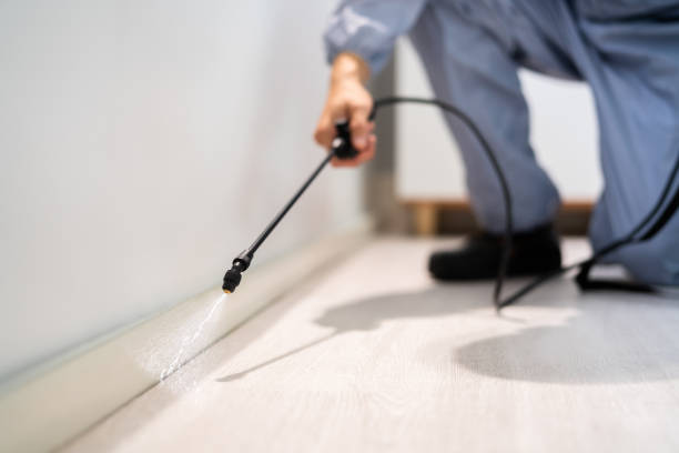 Professional exterminator conducting IPM assessment in Church Rock