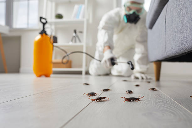 Commercial Kitchen Cockroach Control in Church Rock